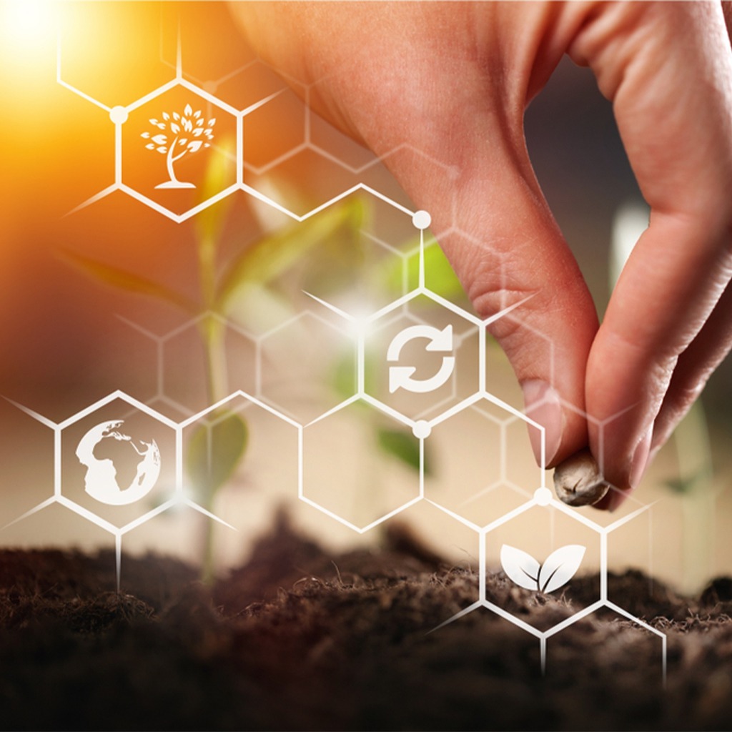Sustainability